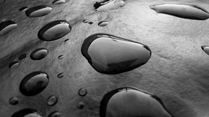 /detail/19556.html